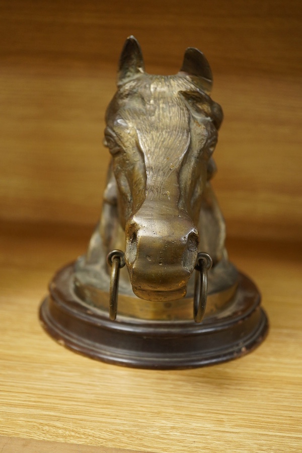 A mid 20th century mounted bronze model of a horse's head, 22cm. Condition - fair to good